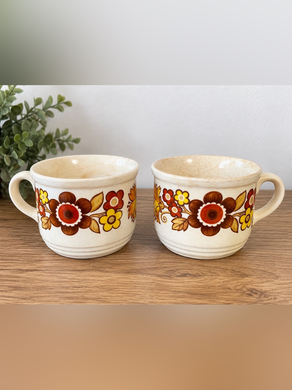 Vintage Myott Festival Ironstone Mugs - Set of 2